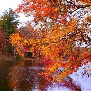 Meet your Posher, Patricia